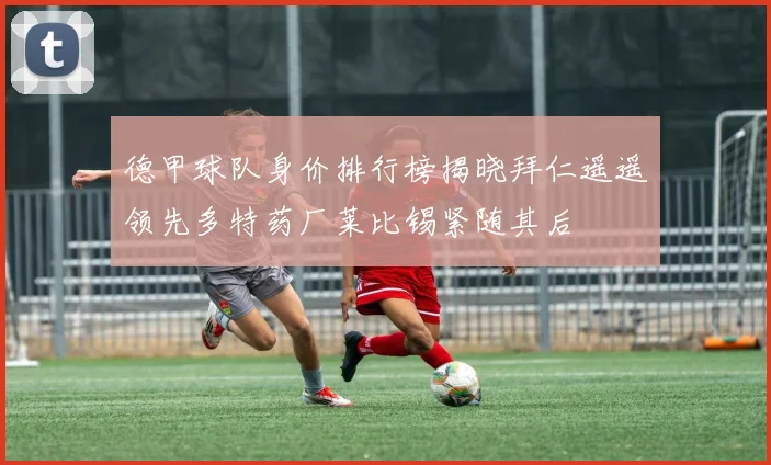 德甲球队身价排行榜揭晓拜仁遥遥领先多特药厂莱比锡紧随其后