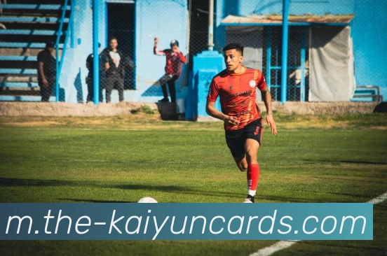 开云棋牌官网平台生态图