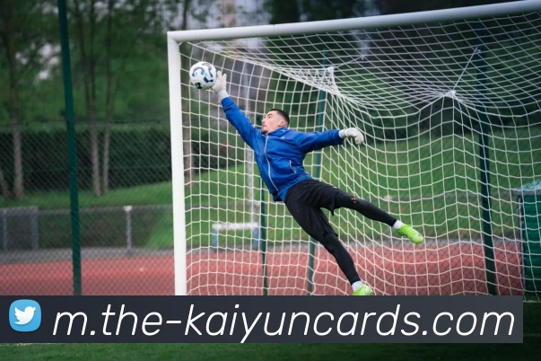 开云棋牌官网APP 封面图